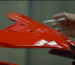 cat merah